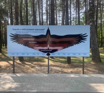 Новинки лагеря