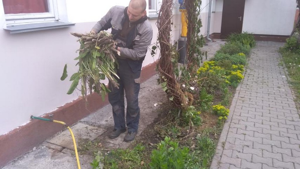 Субботник 20 00003