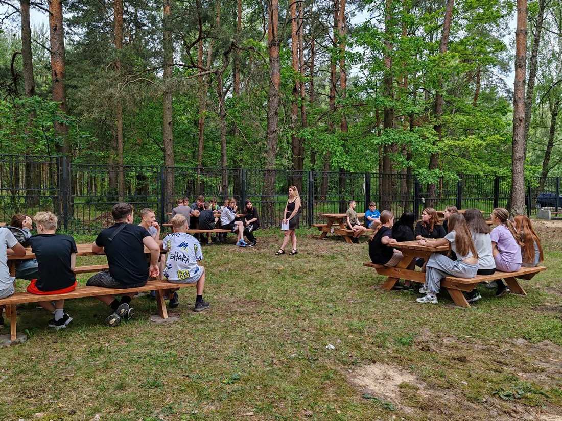 Профилактикой буллинга среди детей