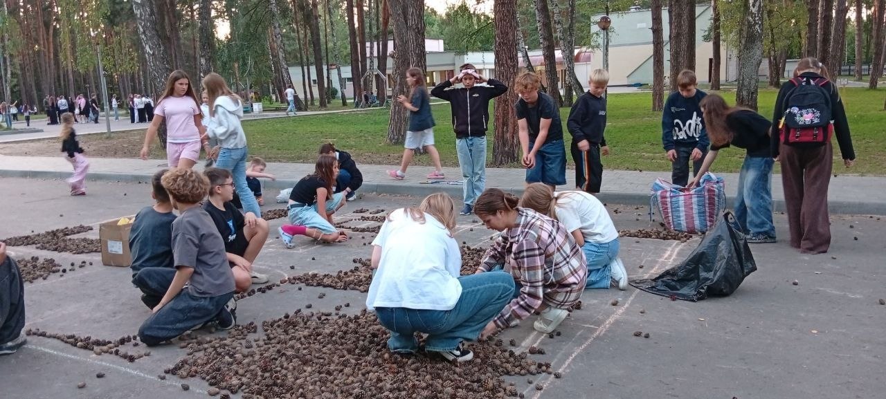 🌲 В завершение дня ребята создали композицию из шишек 
